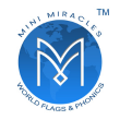 minimiracles.org.in